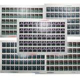 T30药用植物大版票