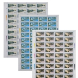 T156都江堰整版票