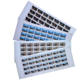 T165社会主义建设成就(第四组)整版票