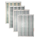 T49 邮政运输大版票