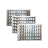 T40 东北虎整版票