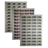 T10 女民兵大版票