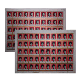 J27中国妇女的光辉榜样整版票