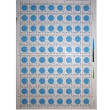 J139世界语诞生一百周年整版票