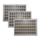 J138叶剑英同志诞生九十周年整版票