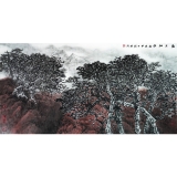 程振国《云上山杪 》136×68cm