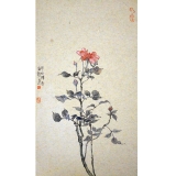 高强《月季》2平尺