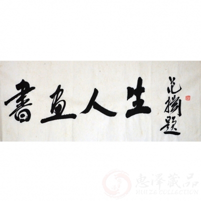 范扬《书画人生》5平尺