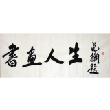 范扬《书画人生》5平尺