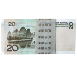 第五套人民币99年20元整刀（百张连号）