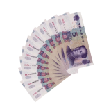 第五套人民币六位豹子号——五套收藏之王