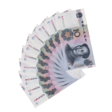 第五套人民币六位豹子号——五套收藏之王