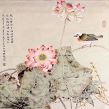 画家张坚盛花鸟《緑水曲》