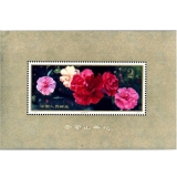 T37M 云南山茶花小型张